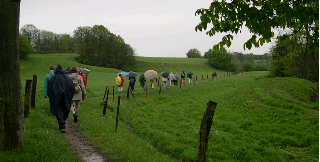 Les parapluies sont de sortie...