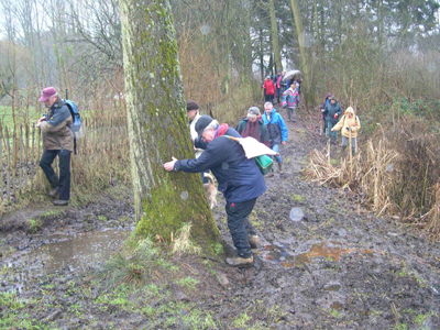 La boue n'�tait pas invit�e... mais heureusement, les arbres sont l�...