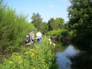En longeant le canal d'amen�e d'eau � la centrale, on ne se croirait plus dans les Ardennes... 