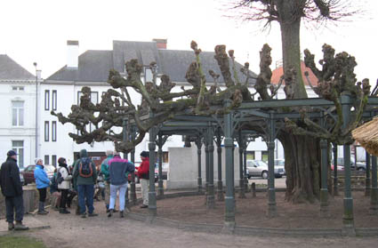 Alain en plein commentaire sous le tilleul s�culaire de Westerlo... A lui seul, il m�rite le d�placement !